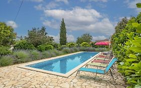 Apartment Tireli - Prc143 By Interhome